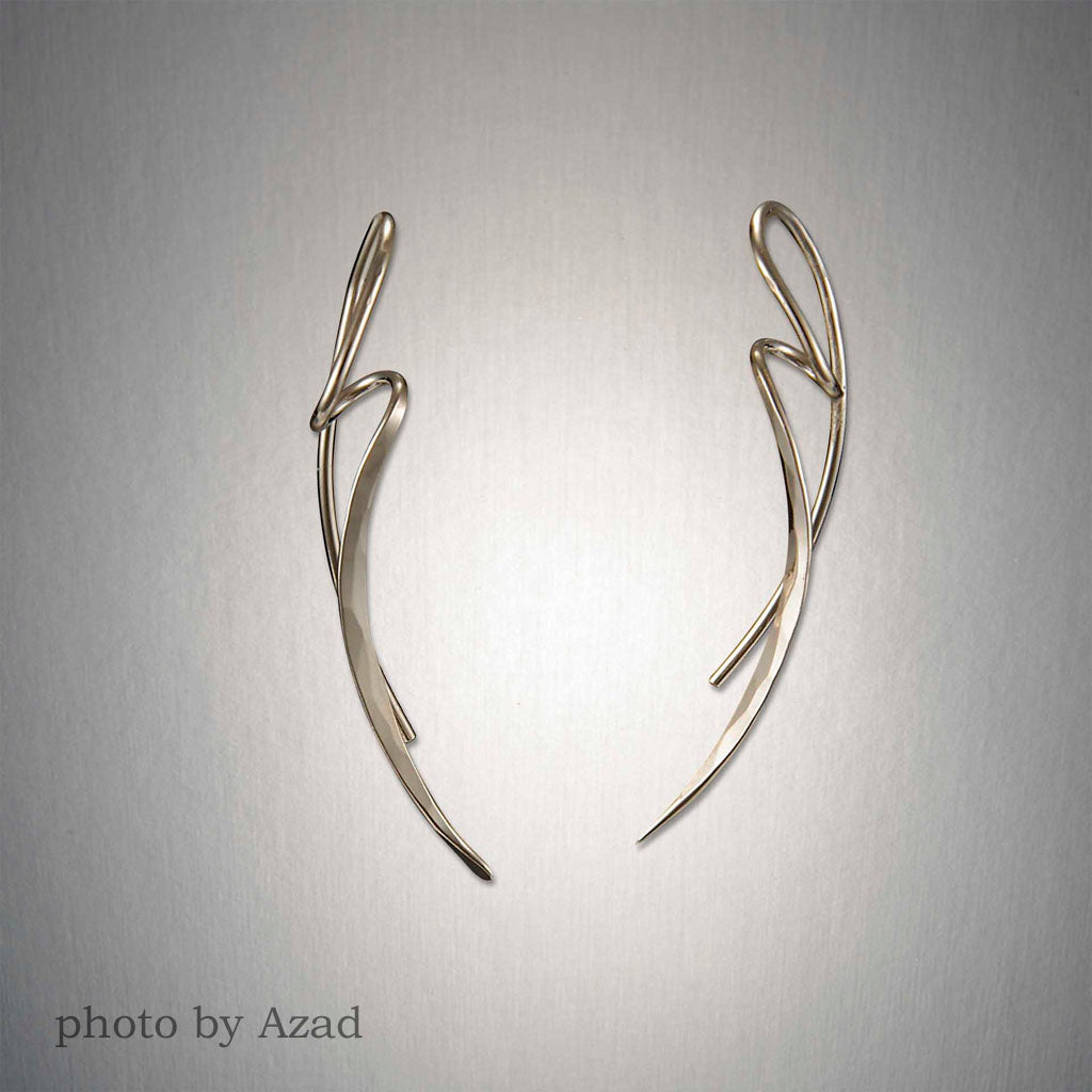 Peter James Earrings