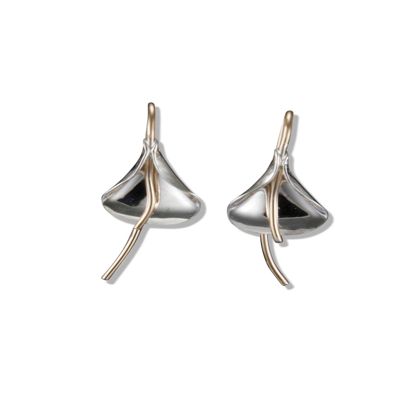Peter James Earrings