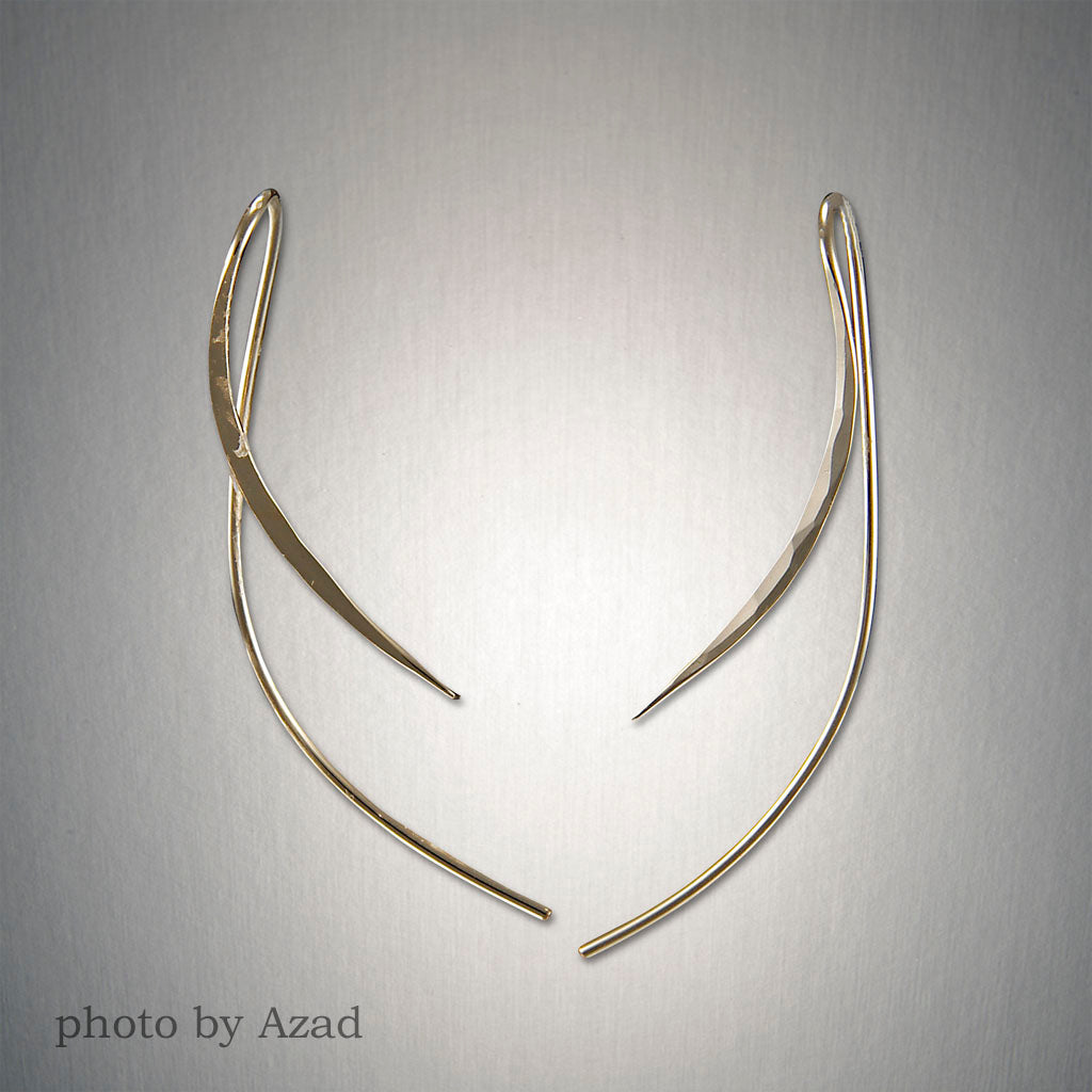 Peter James Earrings