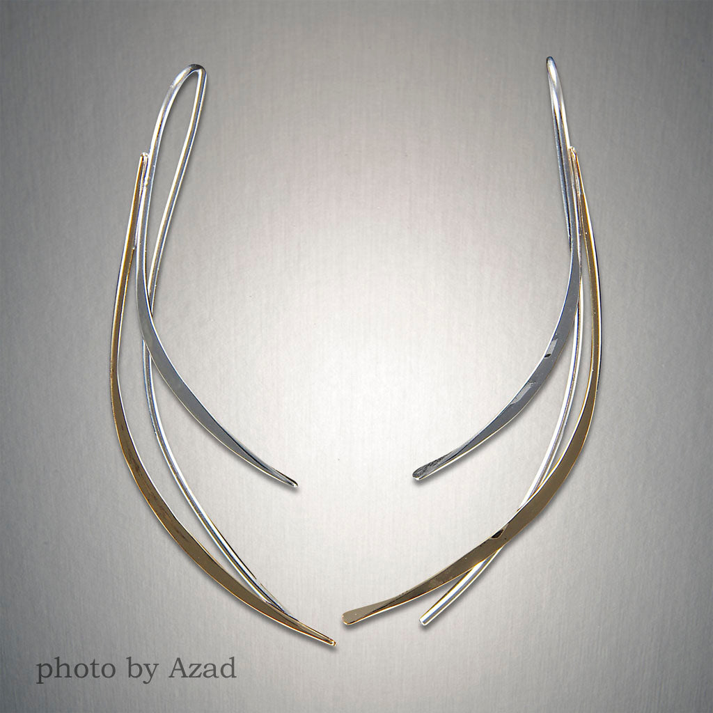 Peter James Earrings