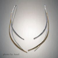 Peter James Earrings