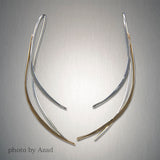 Peter James Earrings