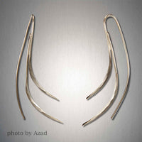 Peter James Earrings