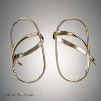 Peter James Earrings