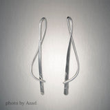 Peter James Earrings