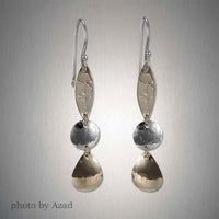 Peter James Earrings