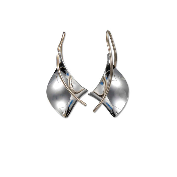 Peter James Earrings