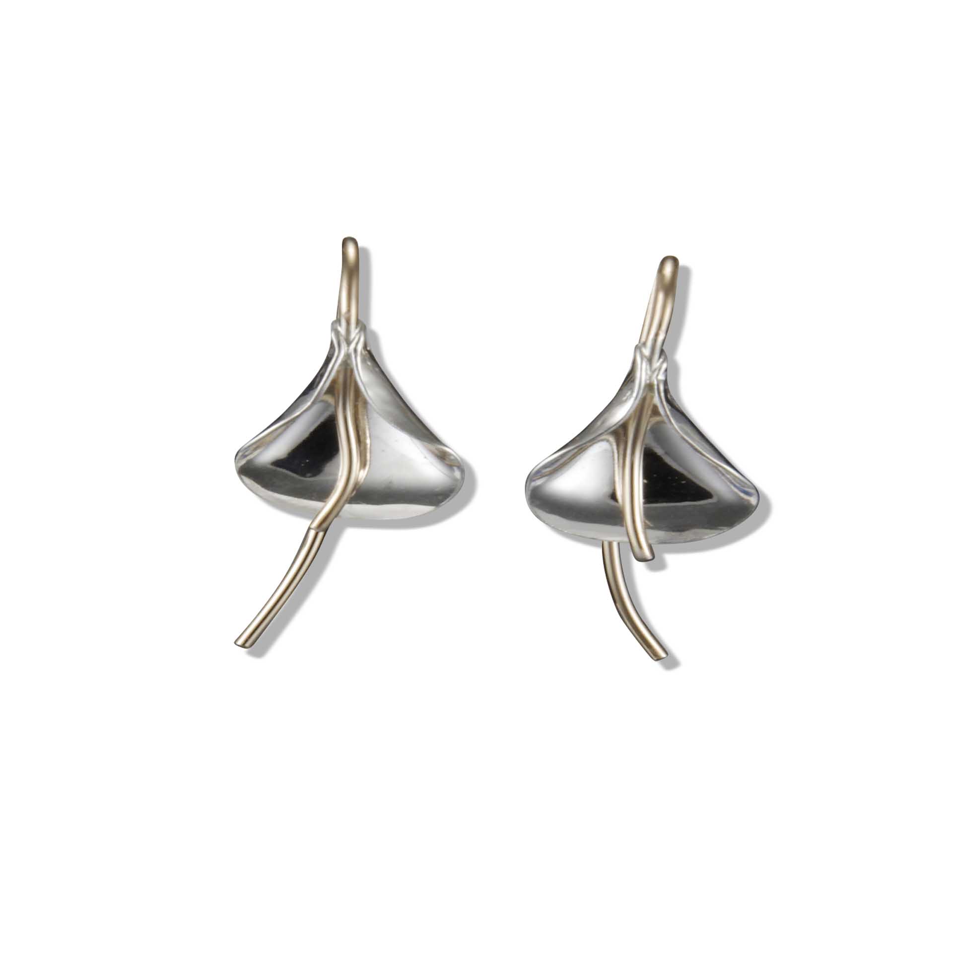 Peter James Earrings - Peter James