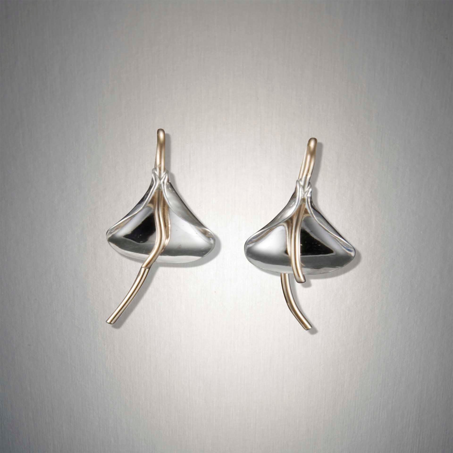 Peter James Earrings