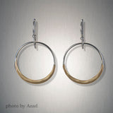 2999 - Dangling Circles