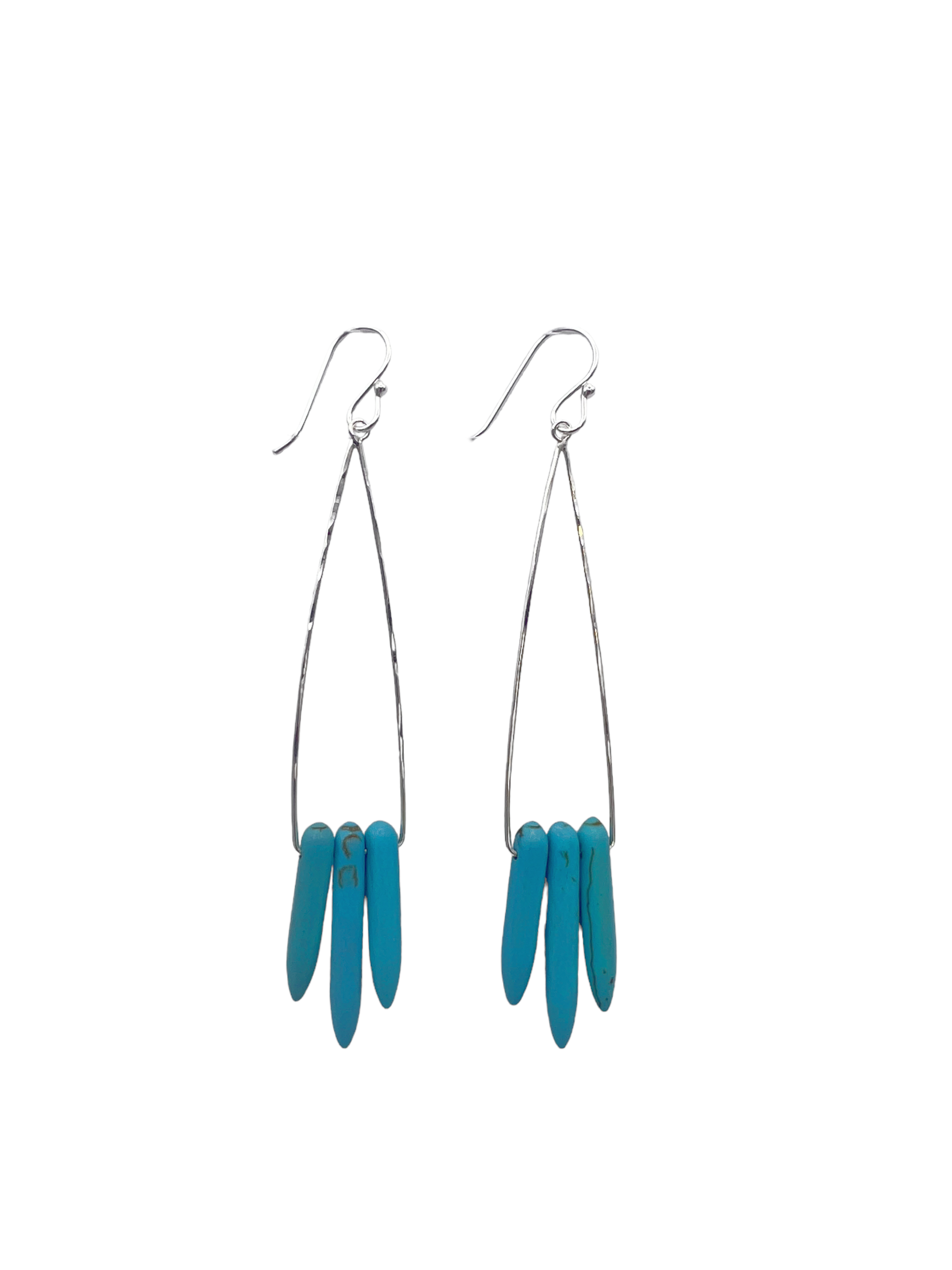 2646 - Turquoise Dyed Howlite - Peter James